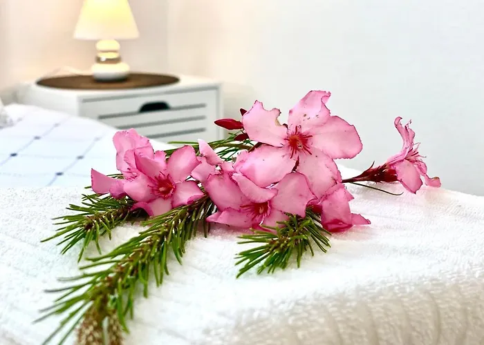 Maluma 4* Rogoznica (Sibenik-Knin)